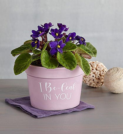 "I Be-leaf in You" Plant Gift